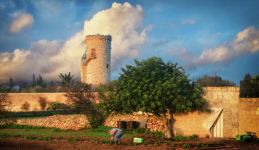 Sunrise over Ta Bettina Tower with farmer in Malta - Landscape photo Photograph by Stephan Grixti