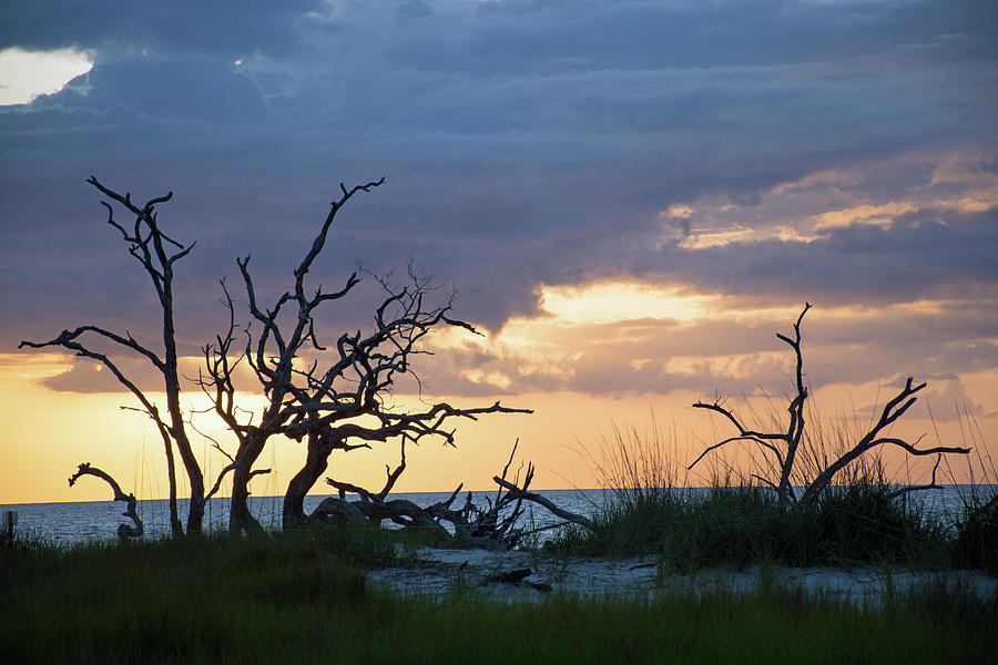 Sunrise Over the Dunes of Driftwood Beach Photograph by Bruce Gourley