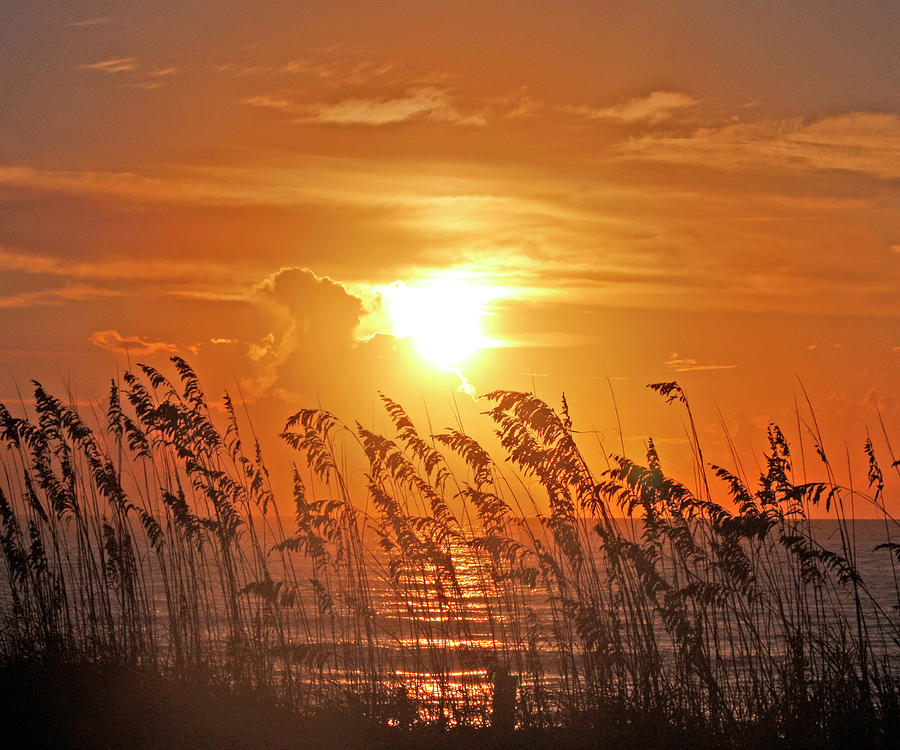 Sunrise Photograph - Sunrise over the dunes by Terry Shoemaker