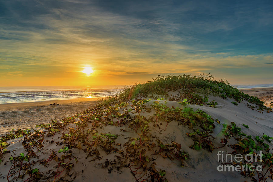 Sunrise Over the Dunes - Texas Coastal Landscape Photograph by Bee Creek Photography - Tod and Cynthia