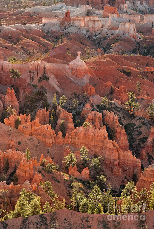 Sunrise Over The Hoodoos Bryce Canyon National Park Utah Photograph by Dave Welling
