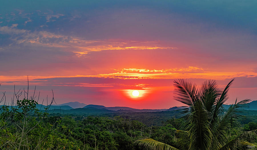Sunrise Over the Jungles Mazatlan Photograph by Tommy Farnsworth