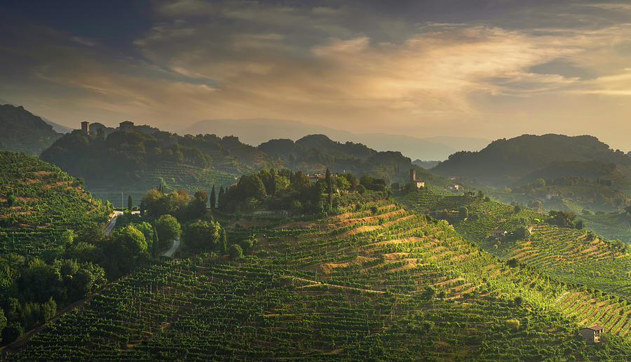 Sunrise over vineyards of Prosecco Hills. Italy Photograph by Stefano Orazzini