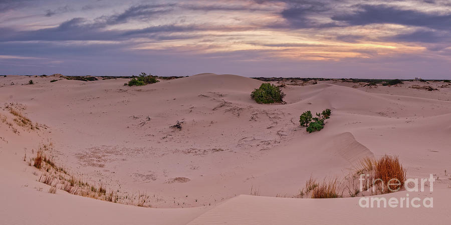 Sunrise Panorama of Sand Dunes at Monahans Sandhills State Park - West Texas Photograph by Silvio Ligutti