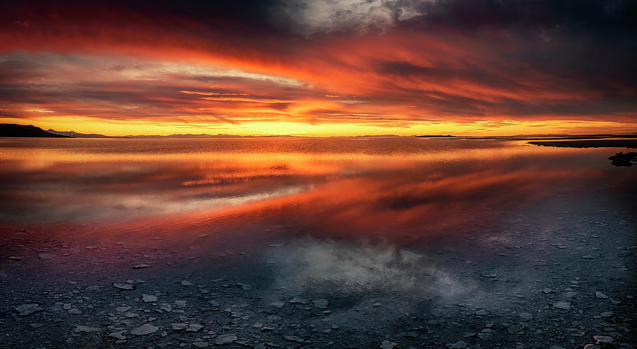 Sunrise Reflection Antelope Island Photograph by Michael Ash