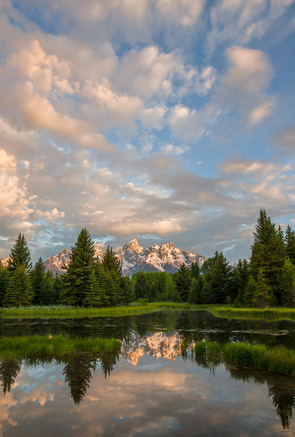 Sunrise Reflection in the Tetons Photograph by Steve Whiston - Fallen Log Photography
