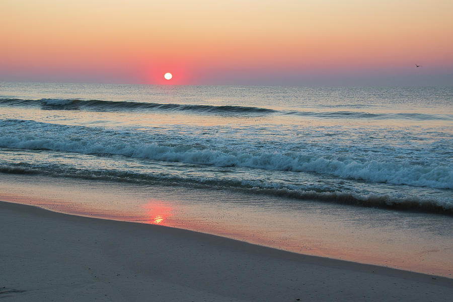 Sunrise Reflection on Shoreline Photograph by Matthew DeGrushe