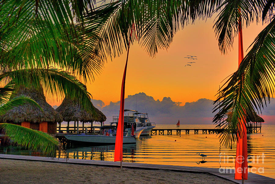 Sunrise Retreat in Paradise Photograph by David Zanzinger