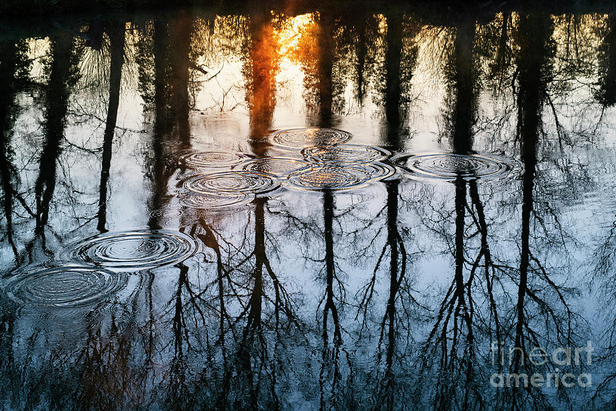 Sunrise Ripples and Reflections Photograph by Tim Gainey