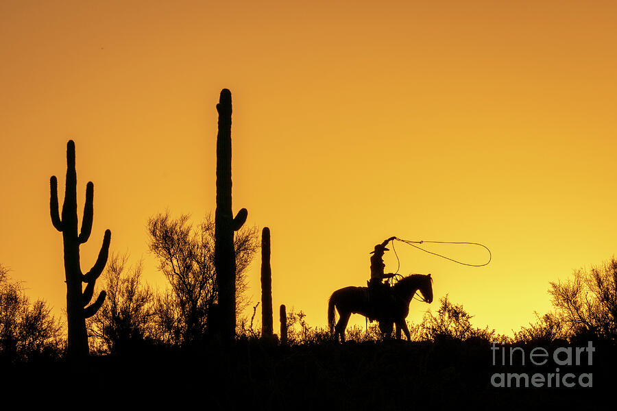 Sunrise Roping Practice Photograph by Priscilla Burgers