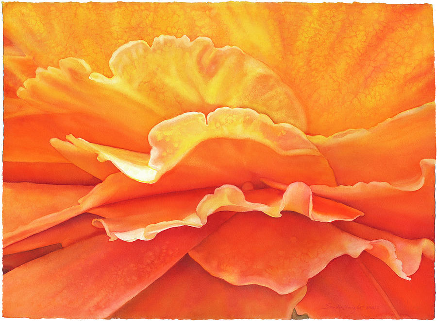 Rose Painting - Sunshine Rose by Sandy Haight