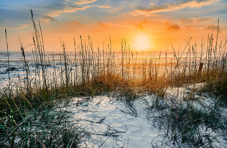 sunrise seen from white sandy beach of Cumberland Island National Seashores undisturbed wilderness in winter Photograph by Michael Shi