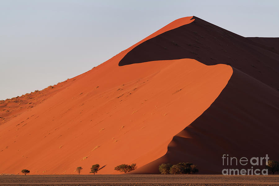 Sunrise Shadows on Massive Sand Dune in Namibia Photograph by Tom Schwabel