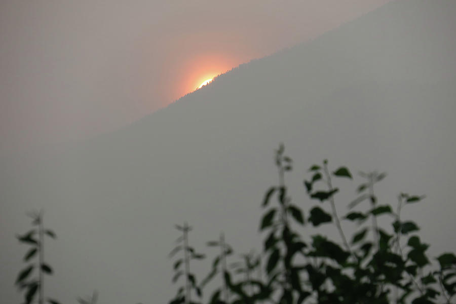 Sunrise - Smoke Photograph by Robert Bissett