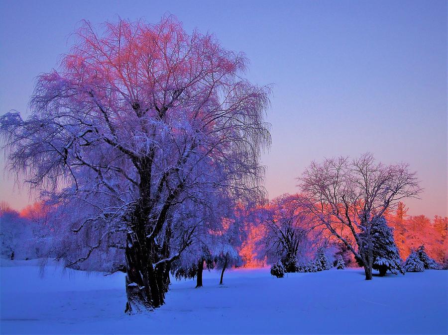 - Sunrise snow storm Photograph by THERESA Nye
