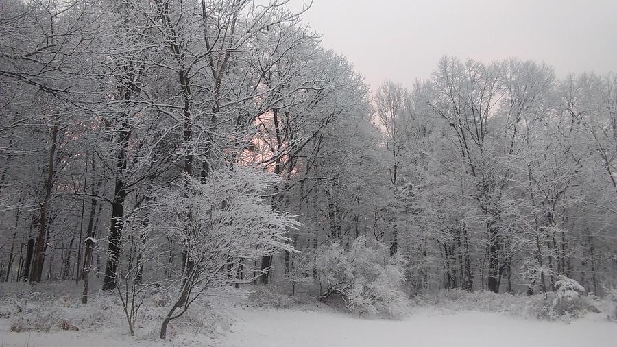 Sunrise Snowfall in The Catskills Photograph by Dean Lazzaro - Pixels