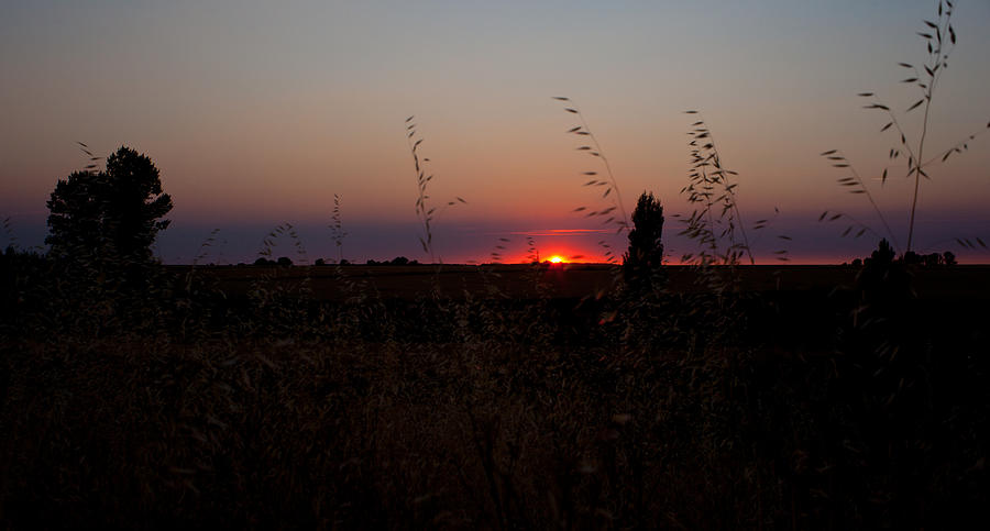 Sunrise, Spanish countryside Photograph by Bepsimage