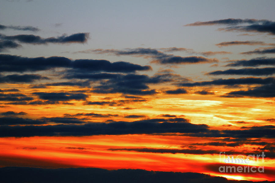 Sunrise Starter Photograph by Donna L Munro