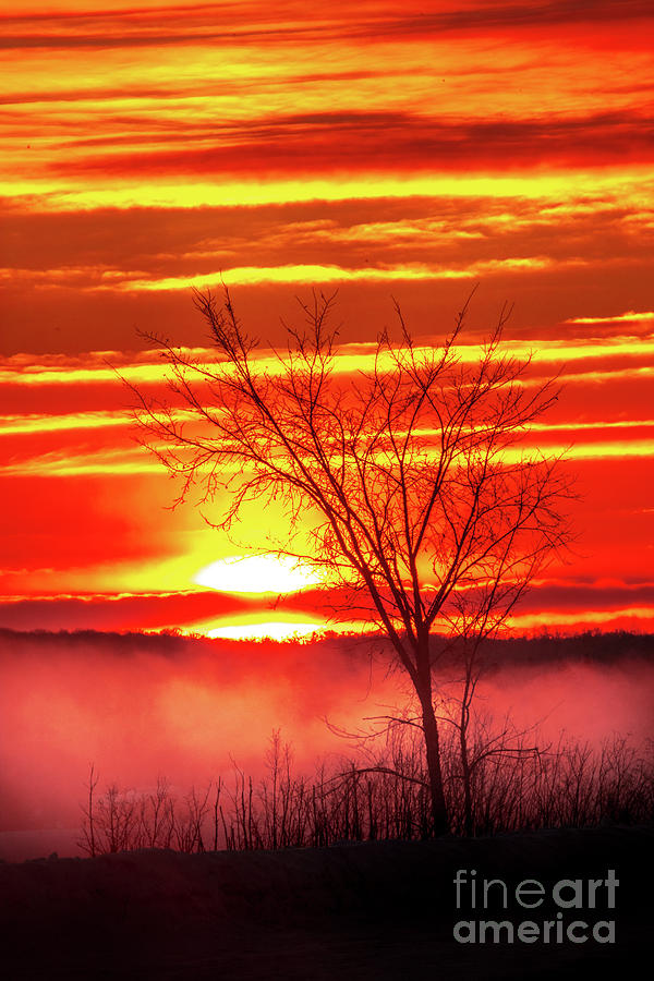 Sunrise Sugar Island Michigan Photograph by Norris Seward