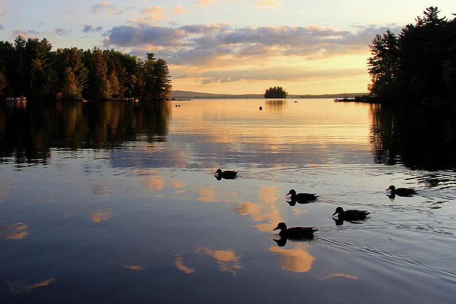Sunrise Swim at Millinocket Lake Photograph by Lori Deiter