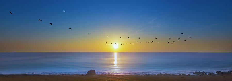 Sunrise Symphony Photograph by Mark Andrew Thomas
