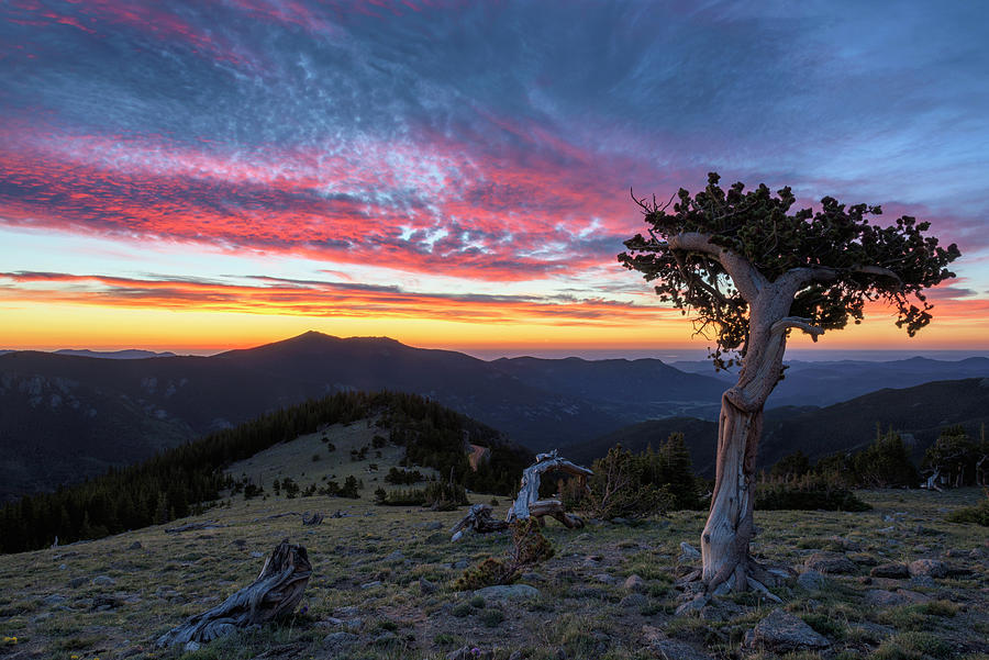 Mountain Photograph - Sunrise Symphony by Morris McClung