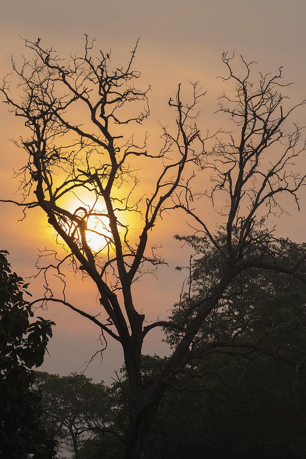 Sunrise - The New Hope Photograph by Kiran Joshi