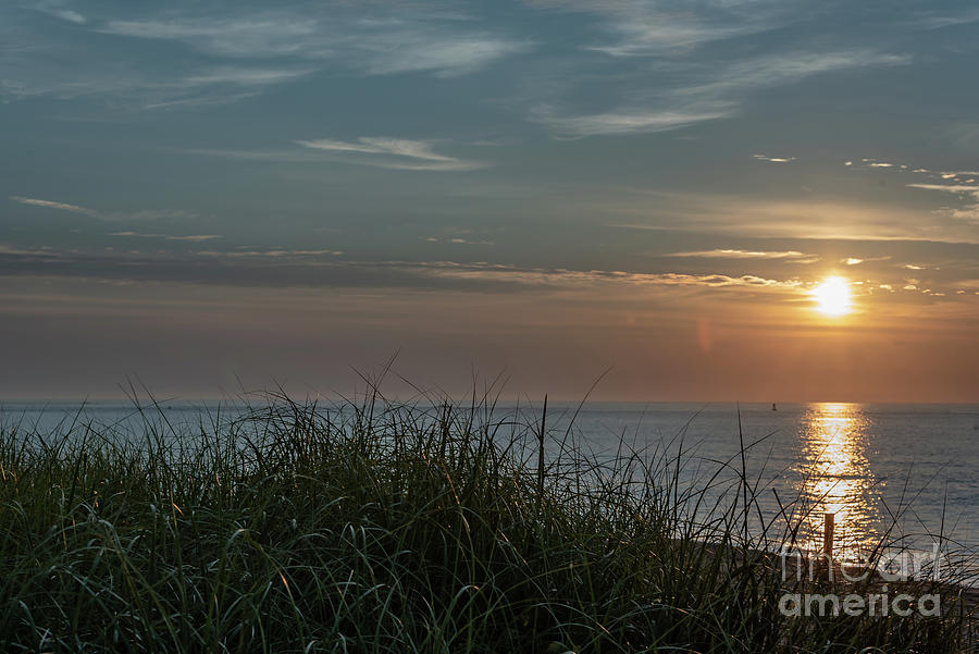 Sunrise Through Seagrass Photograph