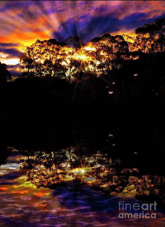 Sunrise Through The Bosque De Monay Reflected Photograph by Al Bourassa