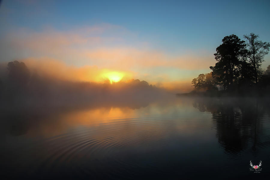 Sunrise through the Mist Photograph by Pam Rendall