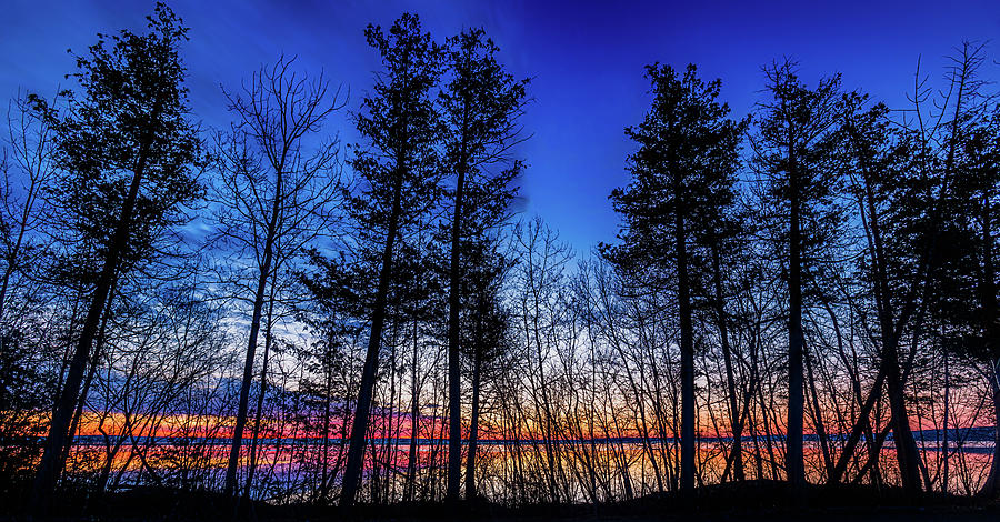 Sunrise through the trees Photograph by Joe Holley
