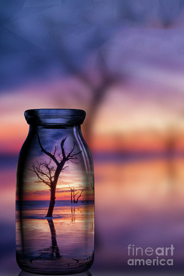 Sunrise Tree in a Bottle South Carolina Photograph by Teresa Jack