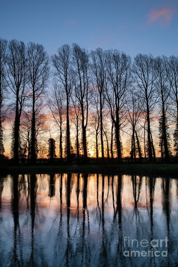 Sunrise Trees and Water Reflections on the River Thames Photograph by Tim Gainey