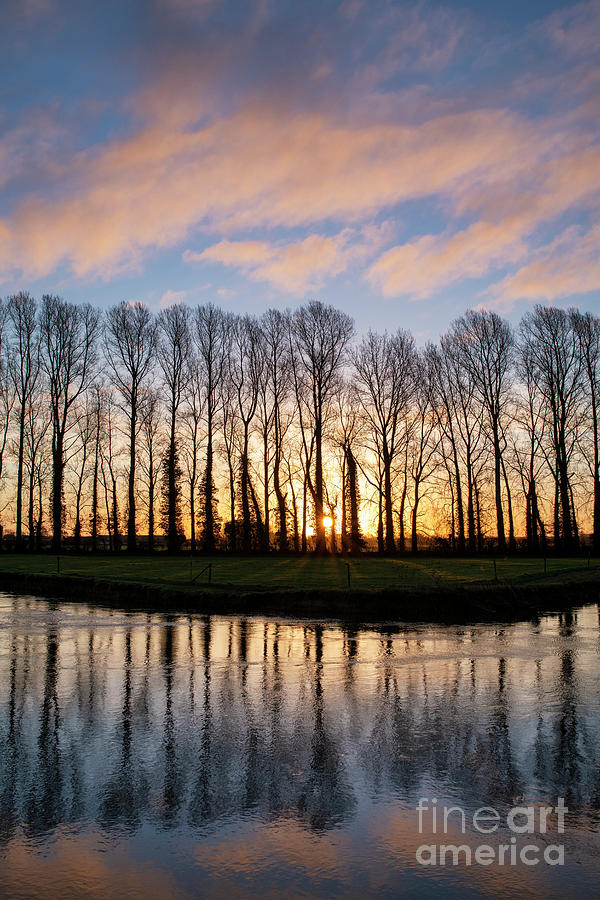 Sunrise Trees and Water Reflections Photograph by Tim Gainey