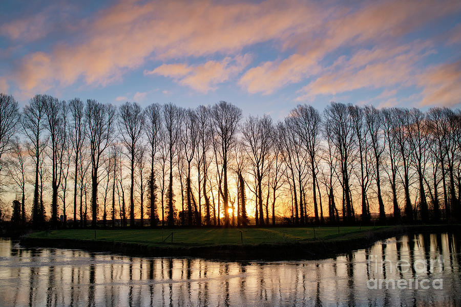 Sunrise Trees and Water Photograph by Tim Gainey