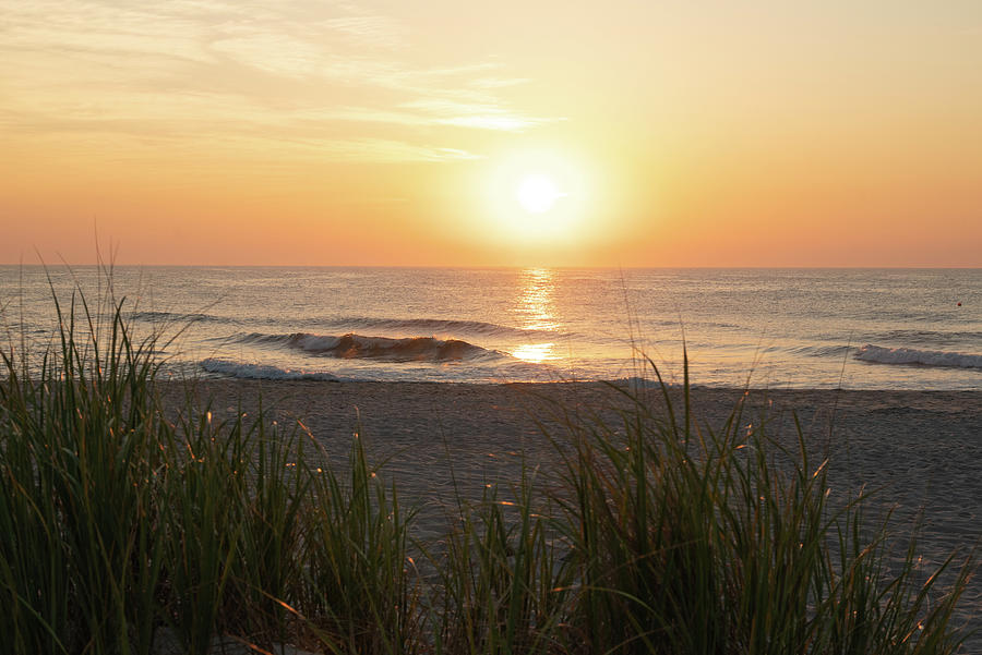 Sunrise View from Behind the Dune Grass Photograph by Matthew DeGrushe