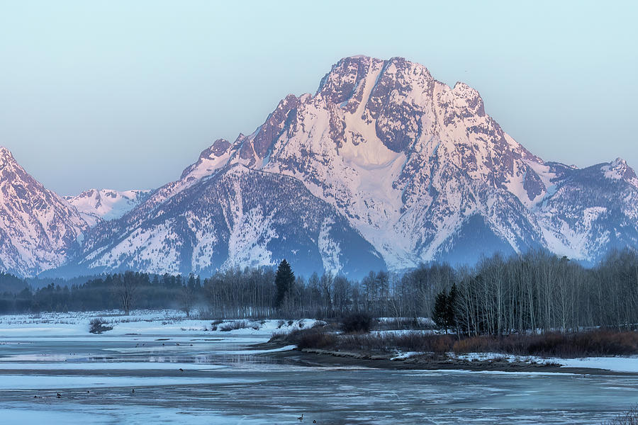 Sunrise View of Mount Moran from Oxbow Bend Photograph by Belinda Greb