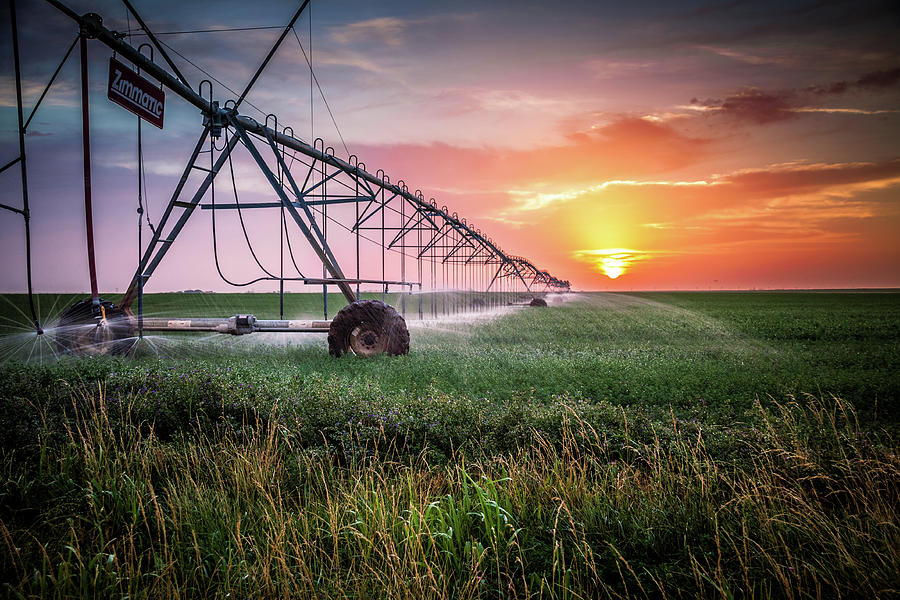 Dalhart Photograph - Sunrise Watering by Tom Weisbrook