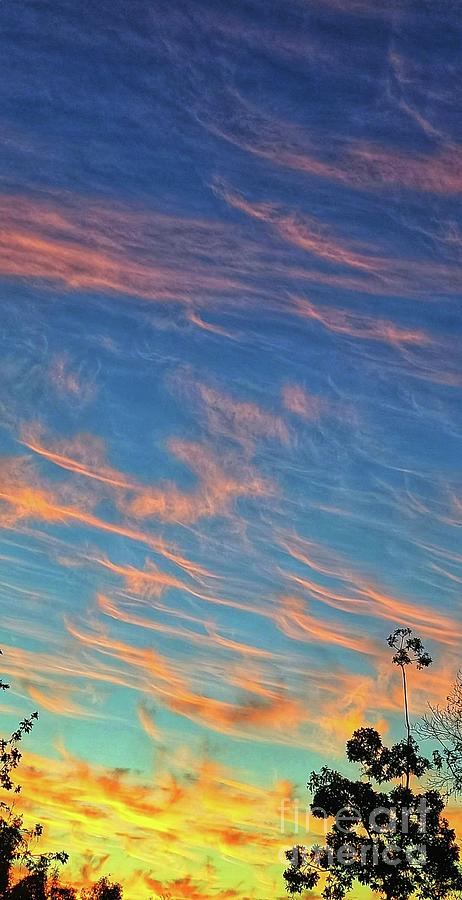 Saint Barbara Photograph - Sunrise Wave Clouds in Santa Barbara  by LaDonna McCray