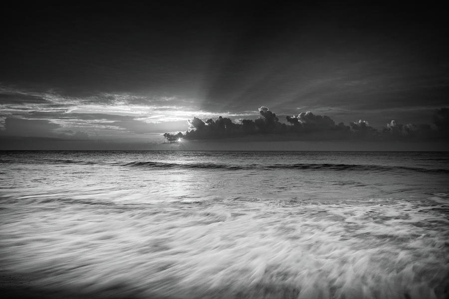 Bird Photograph - Sunrise Wave In Black and White by Greg Mimbs