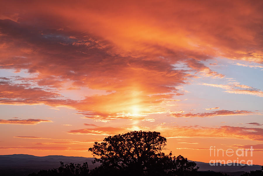 Sunrise with Juniper Photograph by Steven Natanson