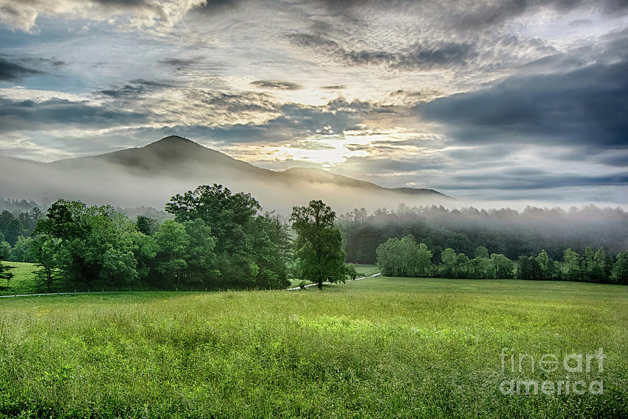 Tree Photograph - Sunrise with Pasture Road and Mtn by Jimmy Pappas