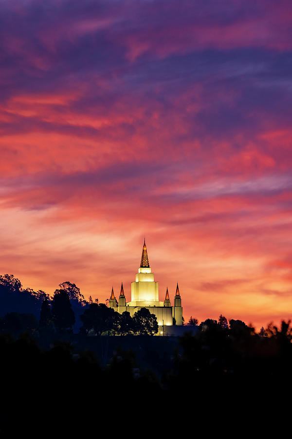 Sunrise Worship - Oakland Temple Photograph by Vincent James