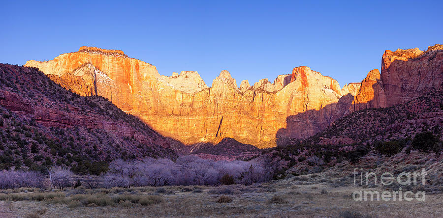 Sunrise - Zion National Park Photograph by Brian Jannsen