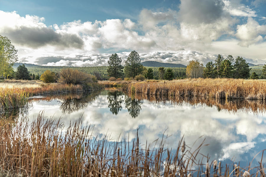 Sunriver Reflections Photograph by Michael DeGrenier Sunriver Reflections Photograph by Michael DeGrenier