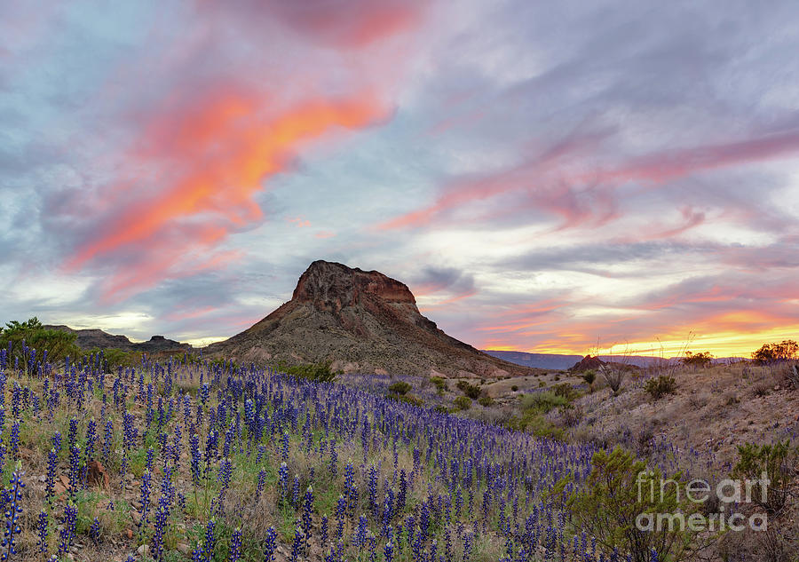 Big Bend National Park Photograph - Sunset above Cerro Castellan by Cathy Alba