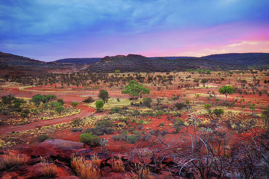 Sunset after the Rain - Central Australia Photograph by Lexa Harpell