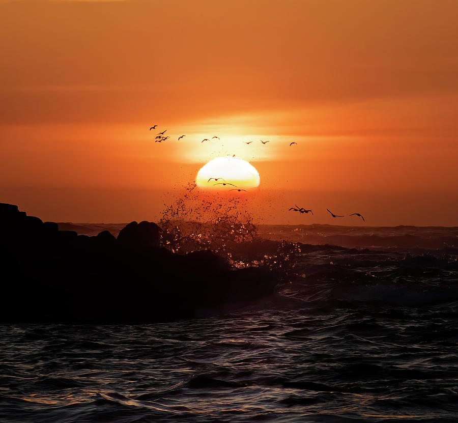 Sunset and Birds Photograph by Lisa Malecki