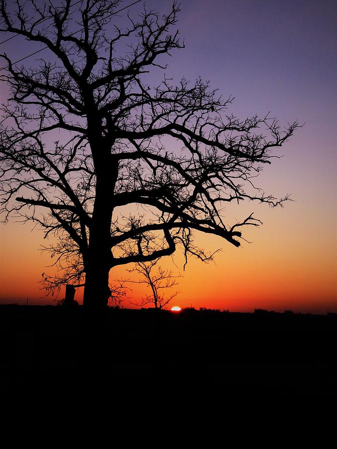 Sunset and Silhouette  Photograph by Lori Frisch