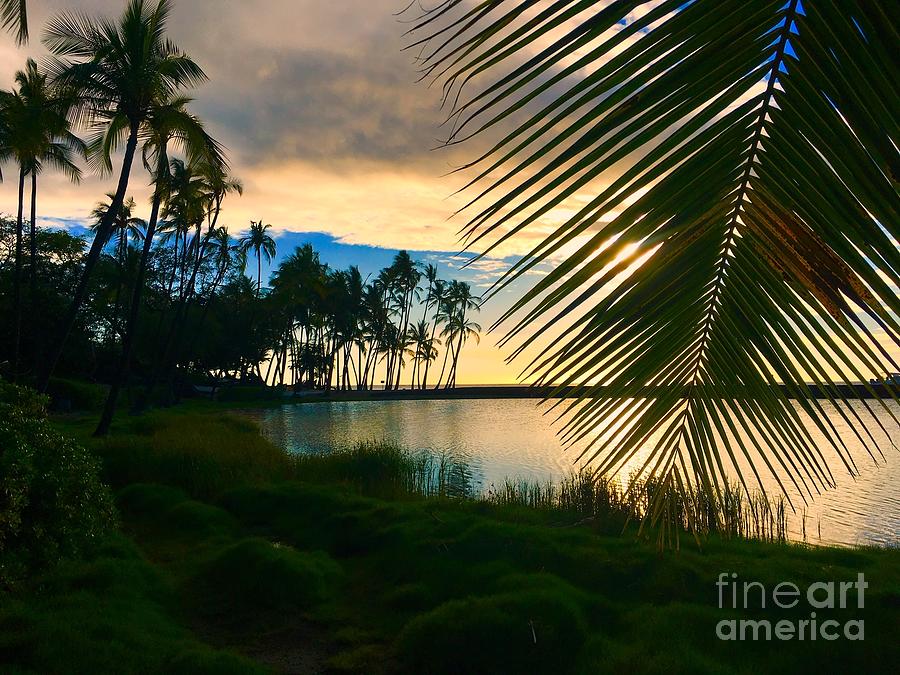 Sunset at A-Bay Hawaii Photograph by Bette Phelan